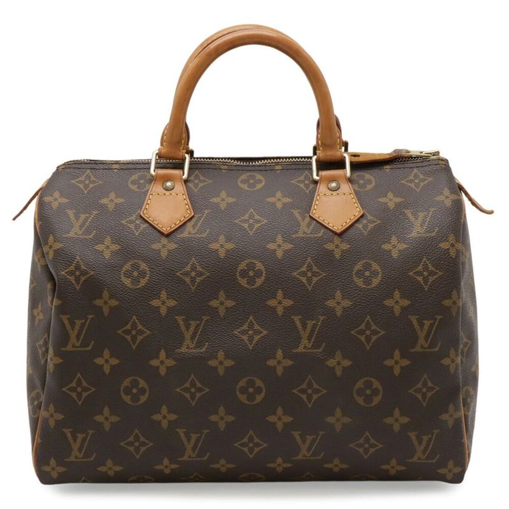 Louis Vuitton Speedy Monogram Bag